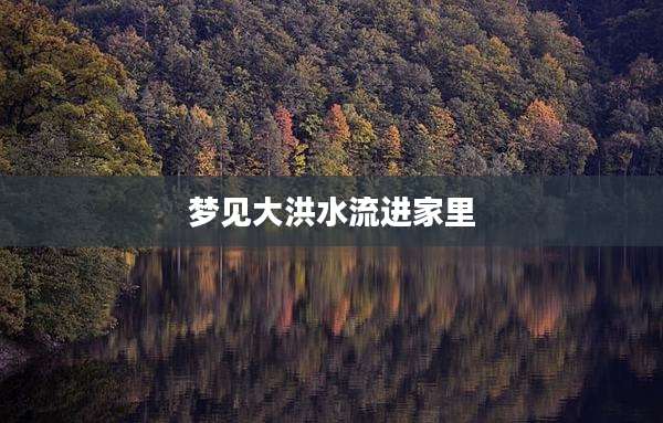 梦见大洪水流进家里