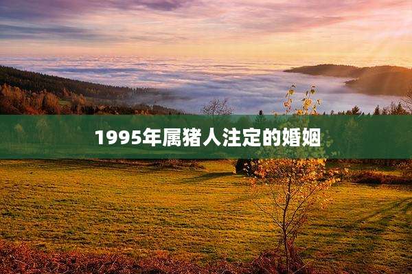 1995年属猪人注定的婚姻