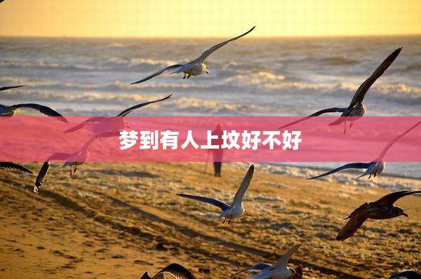 梦到有人上坟好不好