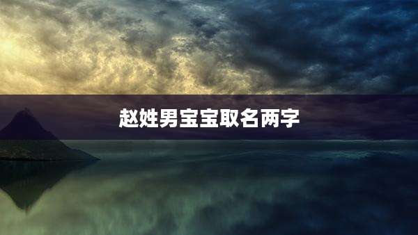 赵姓男宝宝取名两字