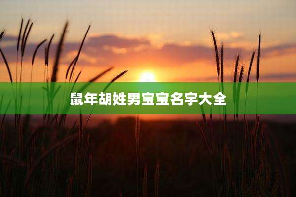 鼠年胡姓男宝宝名字大全
