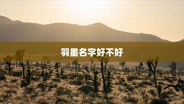 羽墨名字好不好