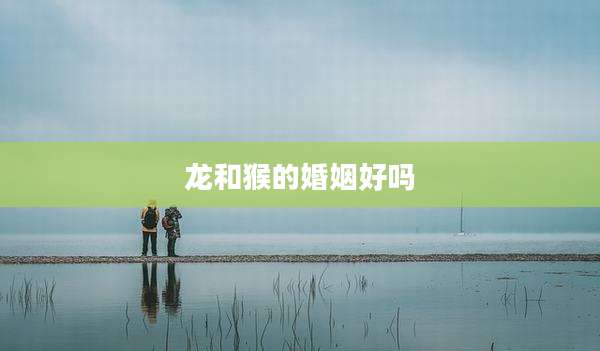 龙和猴的婚姻好吗