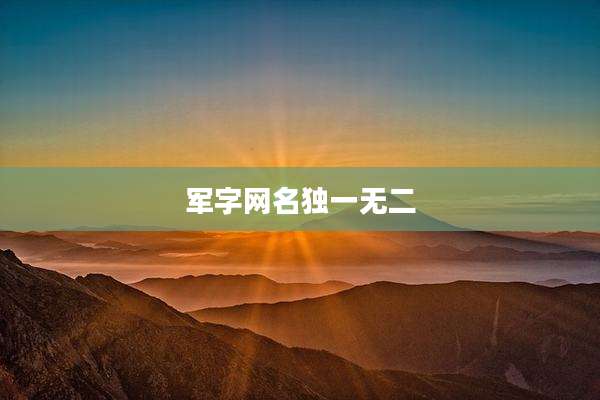 军字网名独一无二
