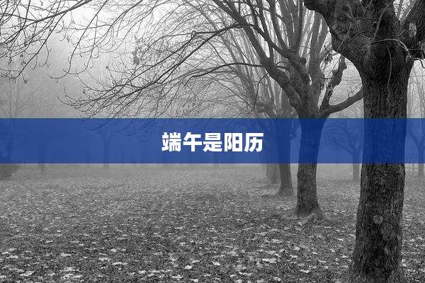 端午是阳历