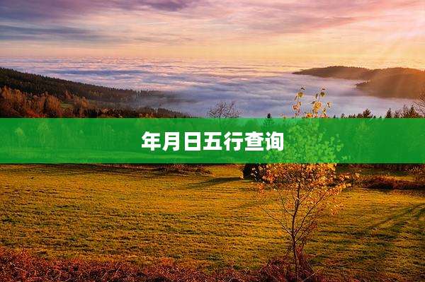 年月日五行查询