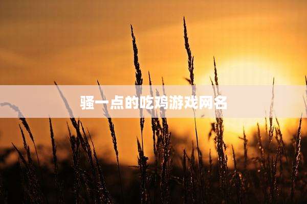 骚一点的吃鸡游戏网名