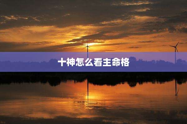 十神怎么看主命格