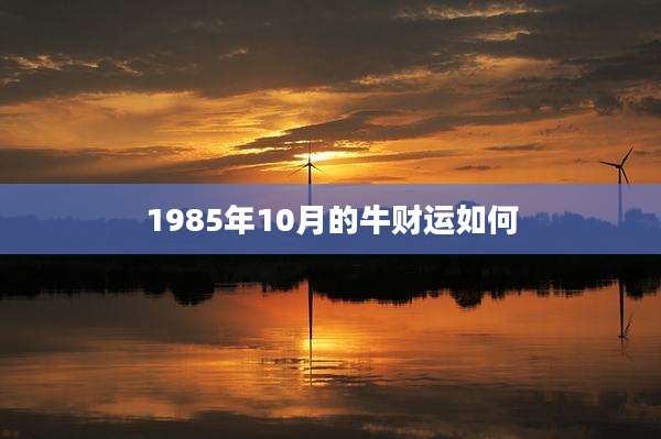 1985年10月的牛财运如何