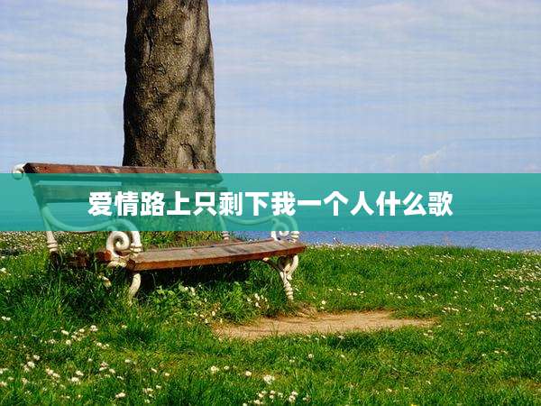 爱情路上只剩下我一个人什么歌