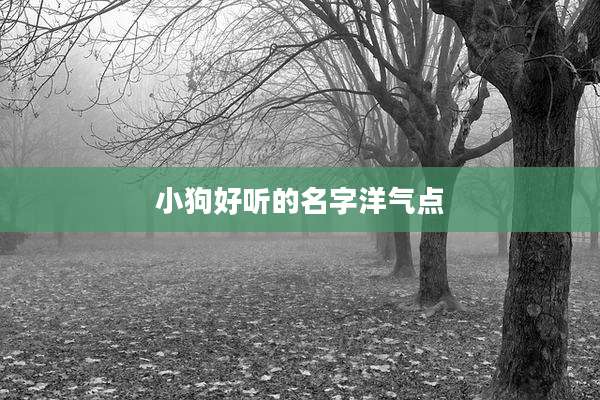 小狗好听的名字洋气点
