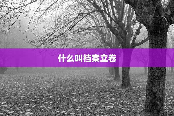 什么叫档案立卷