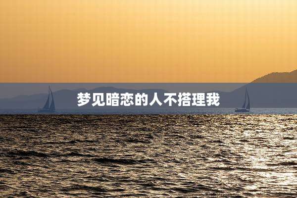 梦见暗恋的人不搭理我