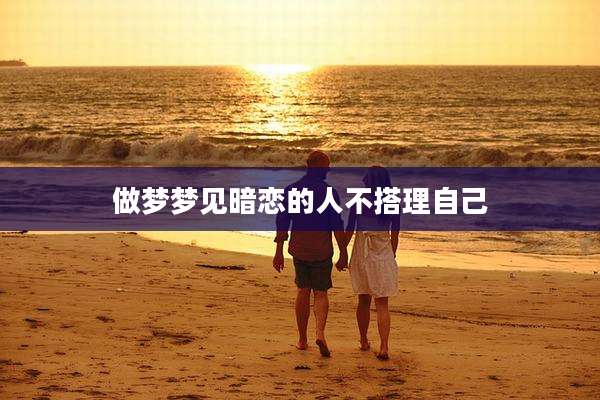 做梦梦见暗恋的人不搭理自己