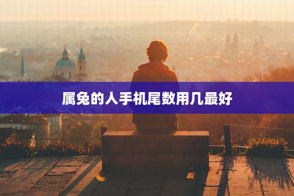 属兔的人手机尾数用几最好