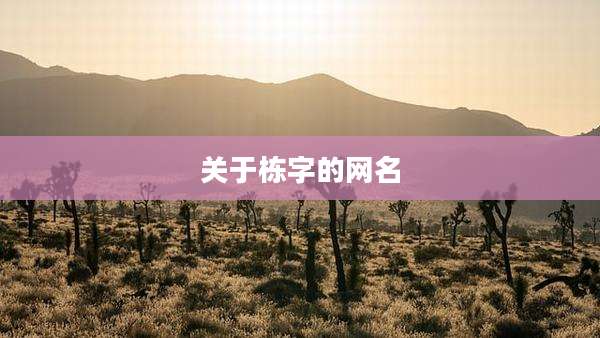 关于栋字的网名