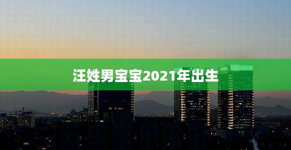 汪姓男宝宝2021年出生
