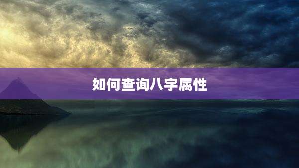 如何查询八字属性