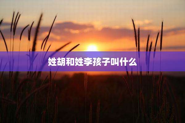 姓胡和姓李孩子叫什么