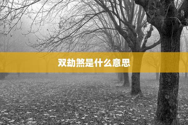双劫煞是什么意思