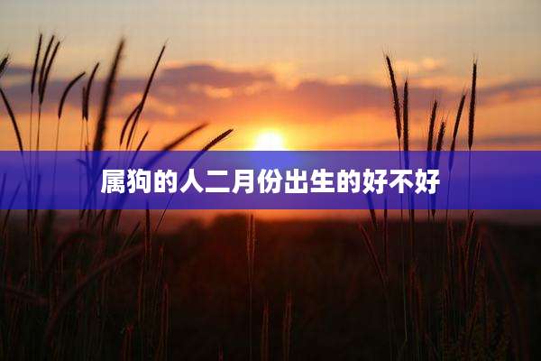 属狗的人二月份出生的好不好