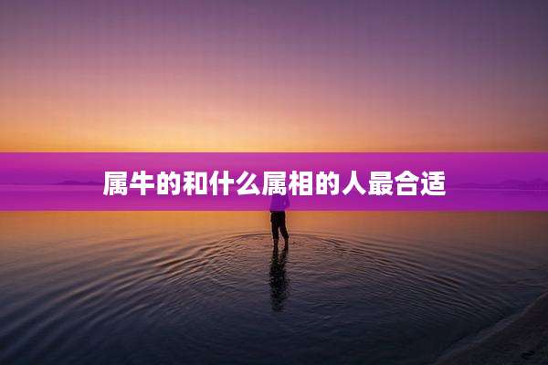 属牛的和什么属相的人最合适