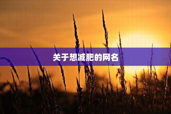 关于想减肥的网名