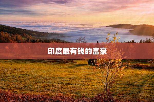 印度最有钱的富豪