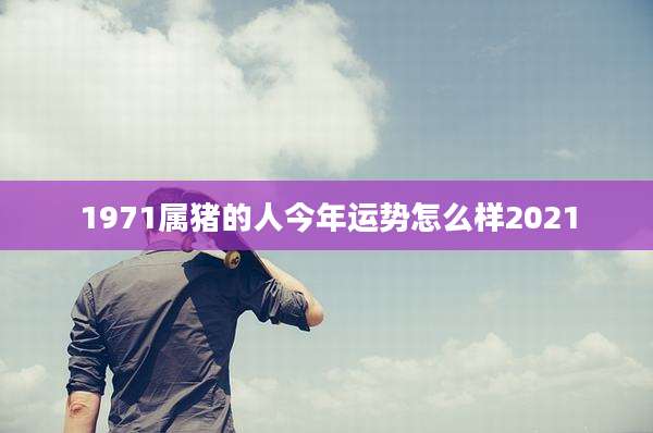 1971属猪的人今年运势怎么样2021