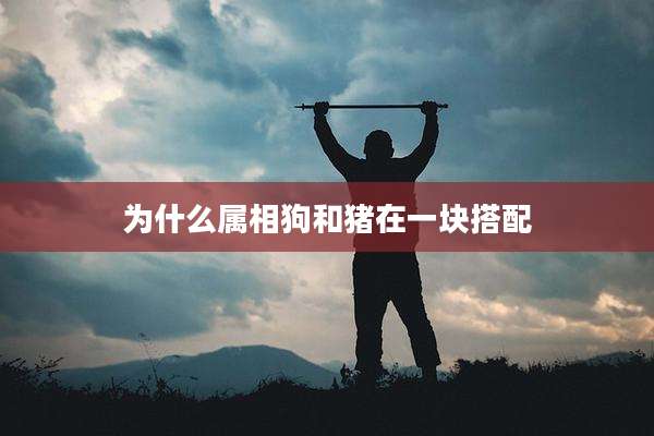 为什么属相狗和猪在一块搭配