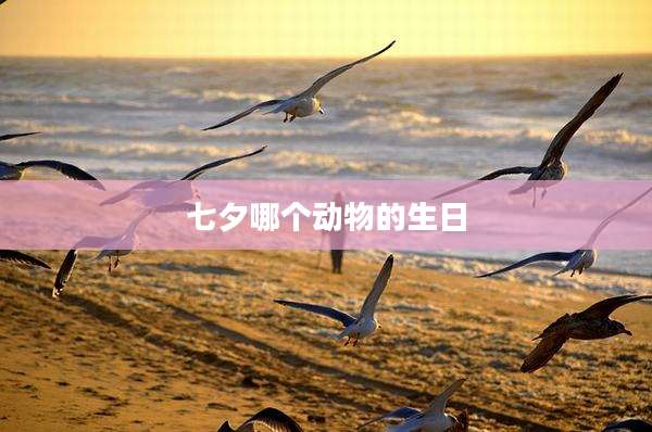 七夕哪个动物的生日