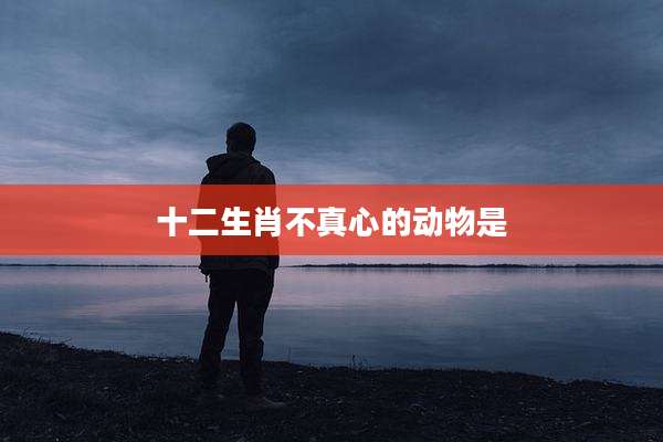 十二生肖不真心的动物是