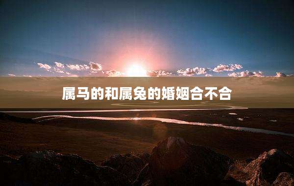 属马的和属兔的婚姻合不合