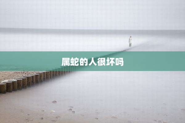 属蛇的人很坏吗