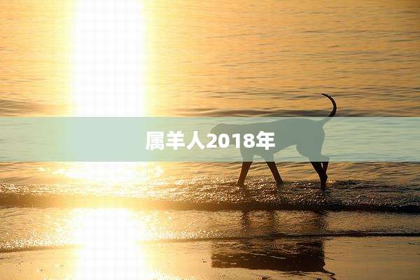 属羊人2018年