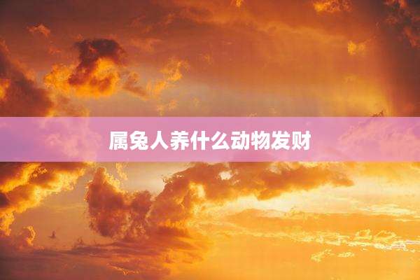 属兔人养什么动物发财