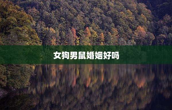 女狗男鼠婚姻好吗