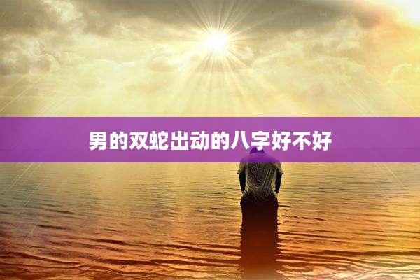 男的双蛇出动的八字好不好
