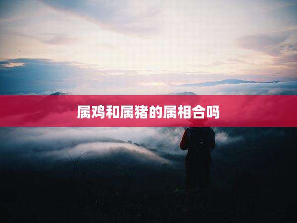 属鸡和属猪的属相合吗