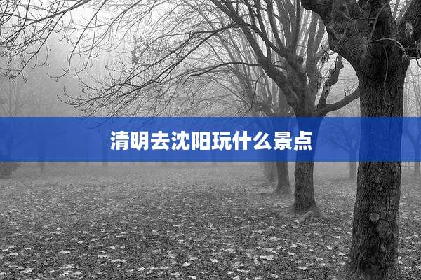 清明去沈阳玩什么景点