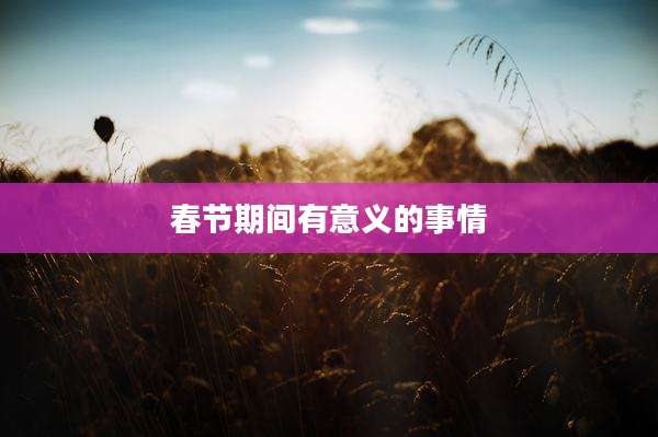 春节期间有意义的事情