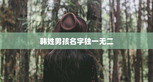 韩姓男孩名字独一无二