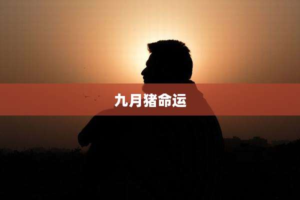 九月猪命运