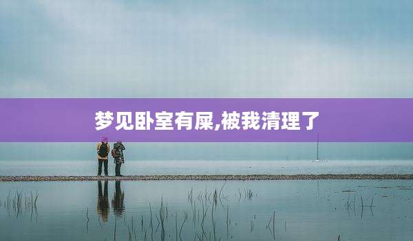 梦见卧室有屎,被我清理了