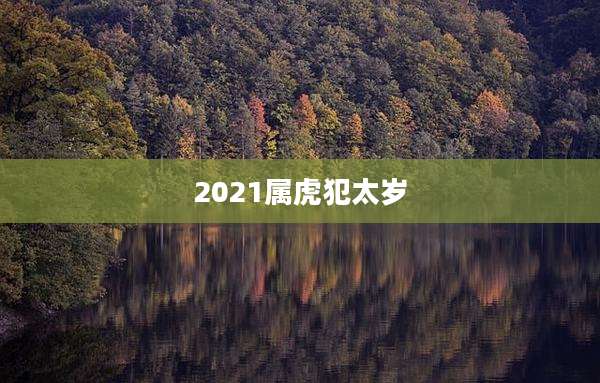 2021属虎犯太岁
