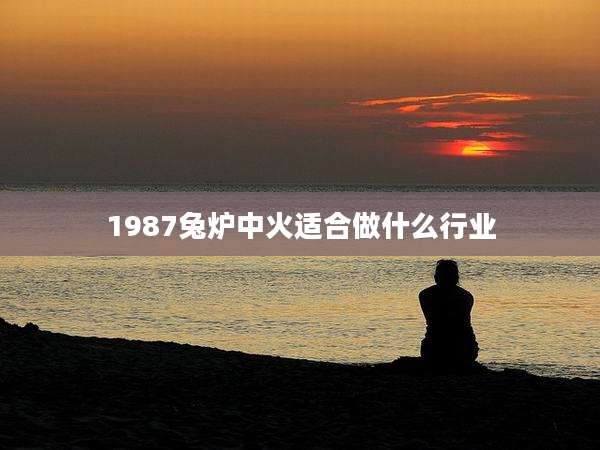 1987兔炉中火适合做什么行业