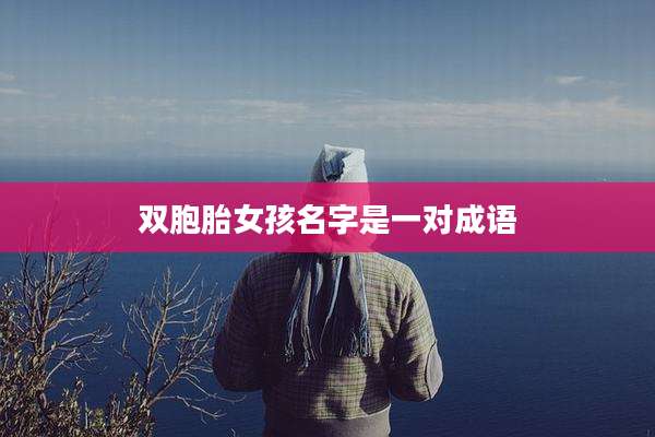 双胞胎女孩名字是一对成语