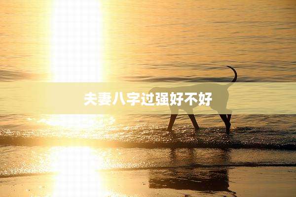 夫妻八字过强好不好