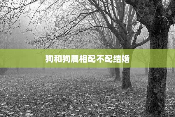 狗和狗属相配不配结婚