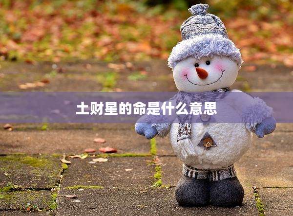 土财星的命是什么意思